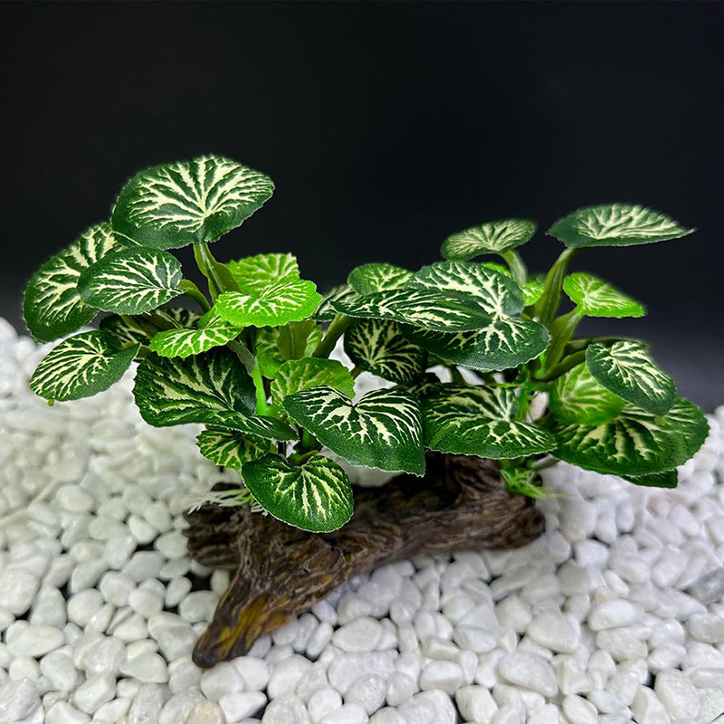 Dekorasi Simulasi Tangki Ikan  - Aquarium Planted Background ulasan dan harga