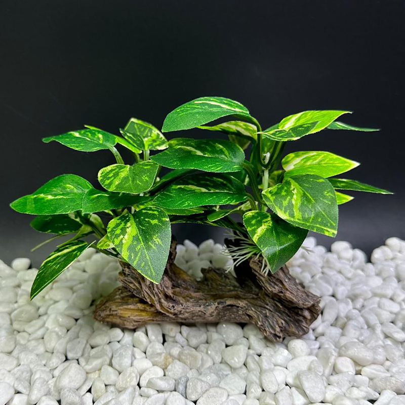 Dekorasi Simulasi Tangki Ikan  - Aquarium Planted Background ulasan dan harga