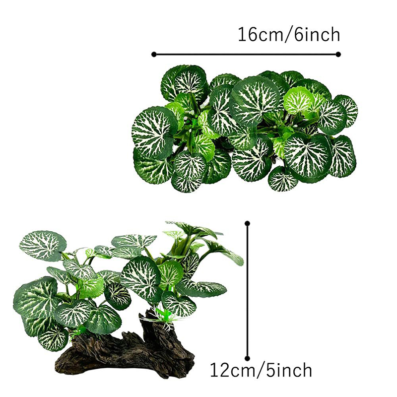 Dekorasi Simulasi Tangki Ikan  - Aquarium Planted Background ulasan dan harga