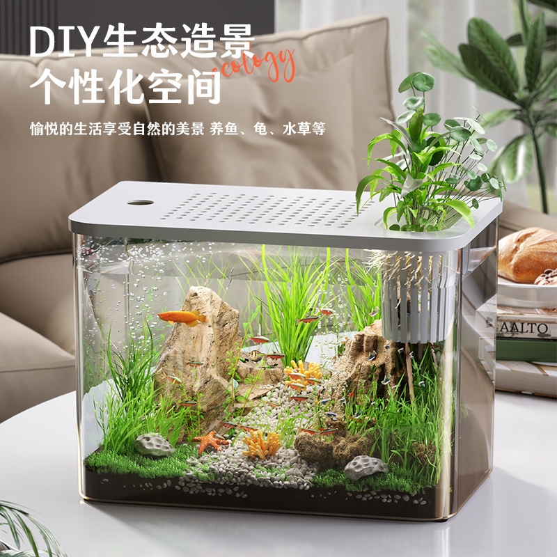 Akuarium Plastik Dengan Tutup, - Planted Aquarium For Goldfish ulasan dan harga