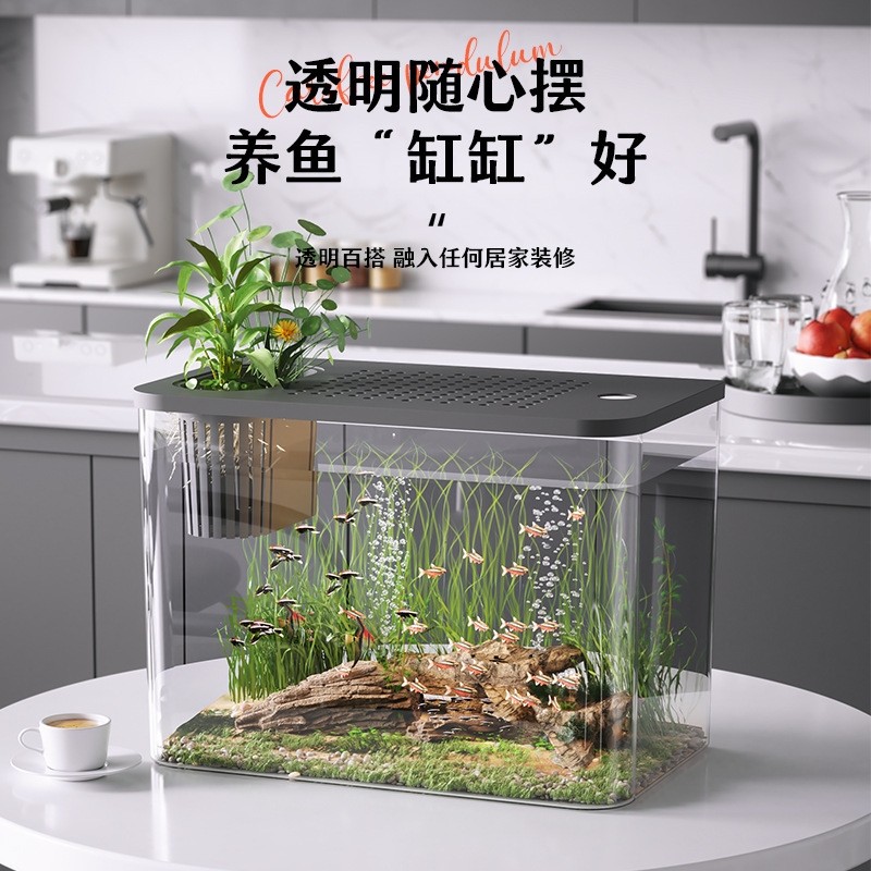 Akuarium Plastik Dengan Tutup, - Planted Aquarium For Goldfish ulasan dan harga