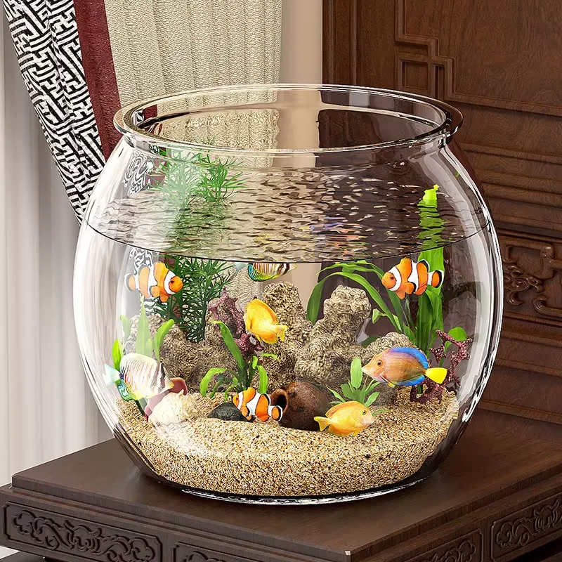 Akuarium Meja Plastik Transpar - Planted Aquarium For Goldfish ulasan dan harga