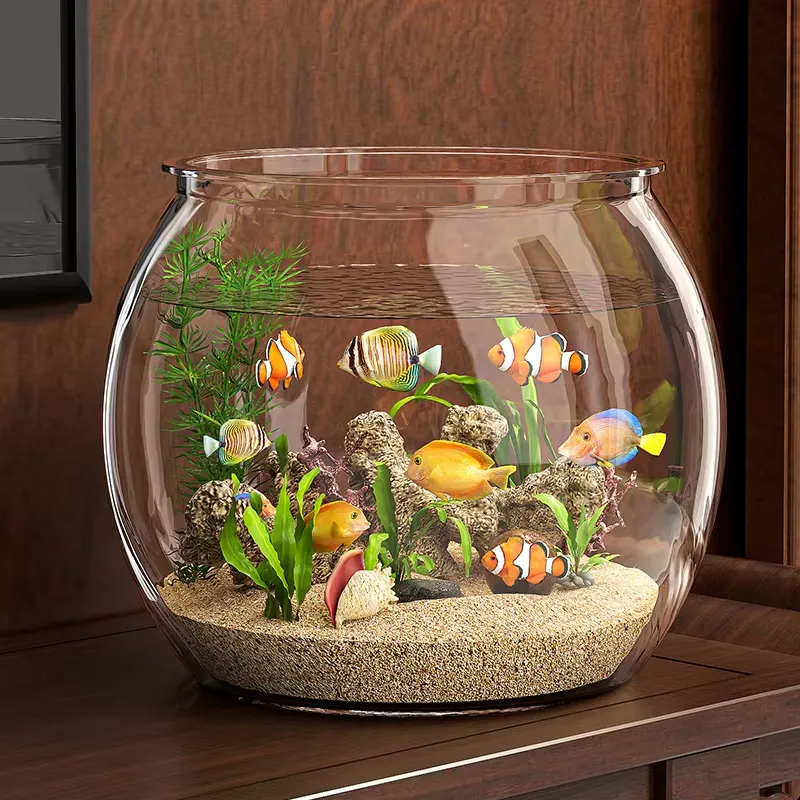 Akuarium Meja Plastik Transpar - Planted Aquarium For Goldfish ulasan dan harga