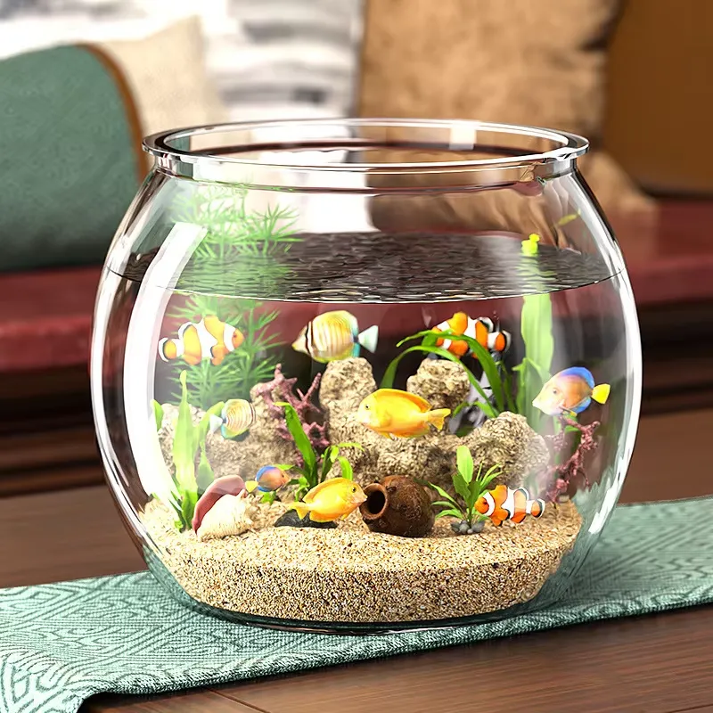 Akuarium Meja Plastik Transpar - Planted Aquarium For Goldfish ulasan dan harga