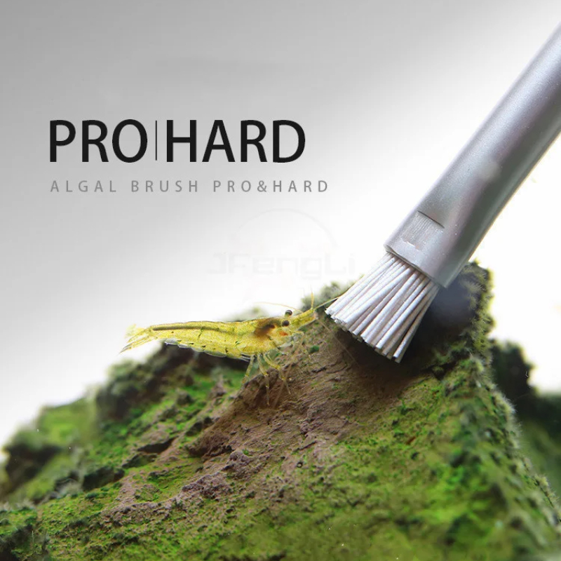 Sikat Alga Aquapro Sikat Pembe - Planted Aquarium Algae ulasan dan harga