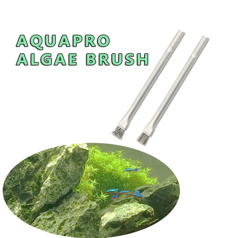 Sikat Alga Aquapro Sikat Pembe - Planted Aquarium Algae ulasan dan harga