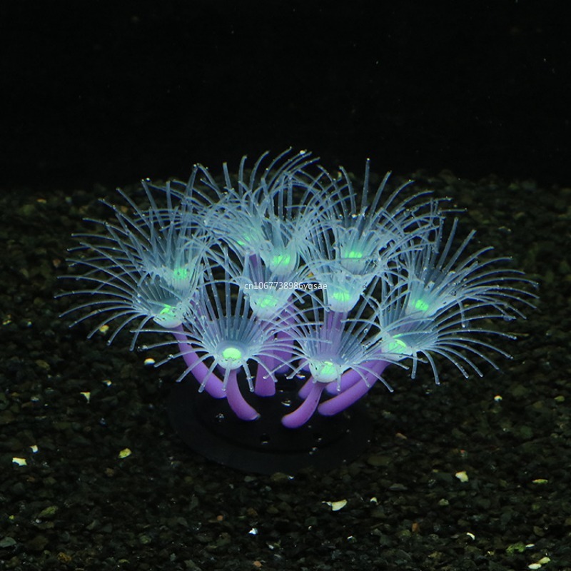 Tanaman Alga Karang Buatan Dek - Planted Aquarium Algae ulasan dan harga