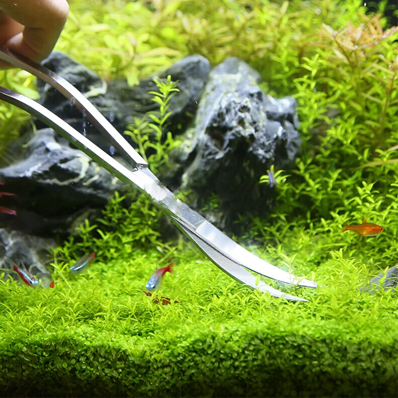 Gunting akuarium, peralatan ta - Planted Aquarium Maintenance Kit ulasan dan harga