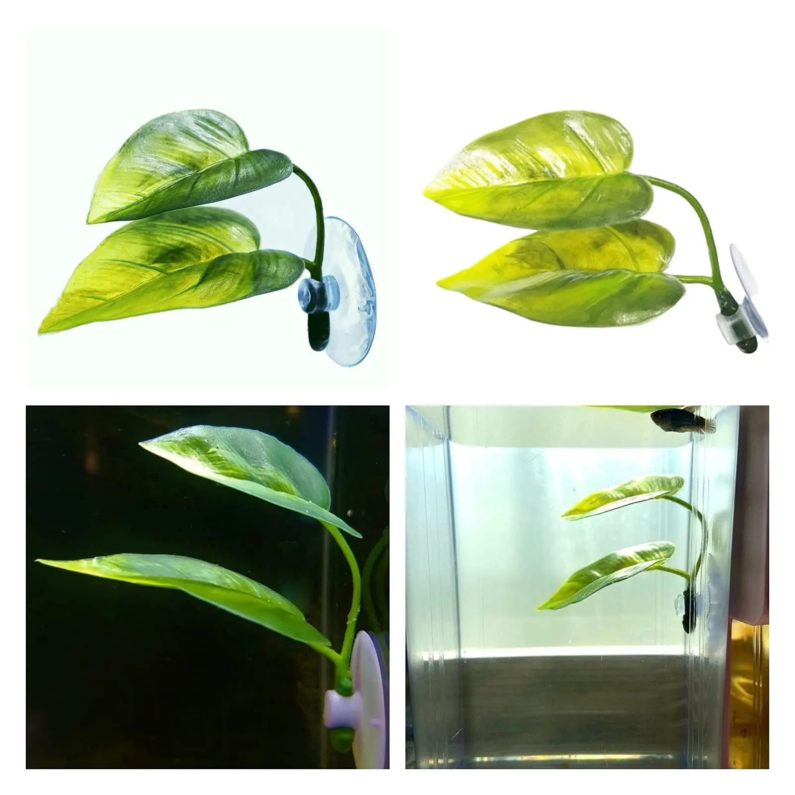 Dekorasi Akuarium Ikan Hias, T - Aquarium Plant Roots ulasan dan harga