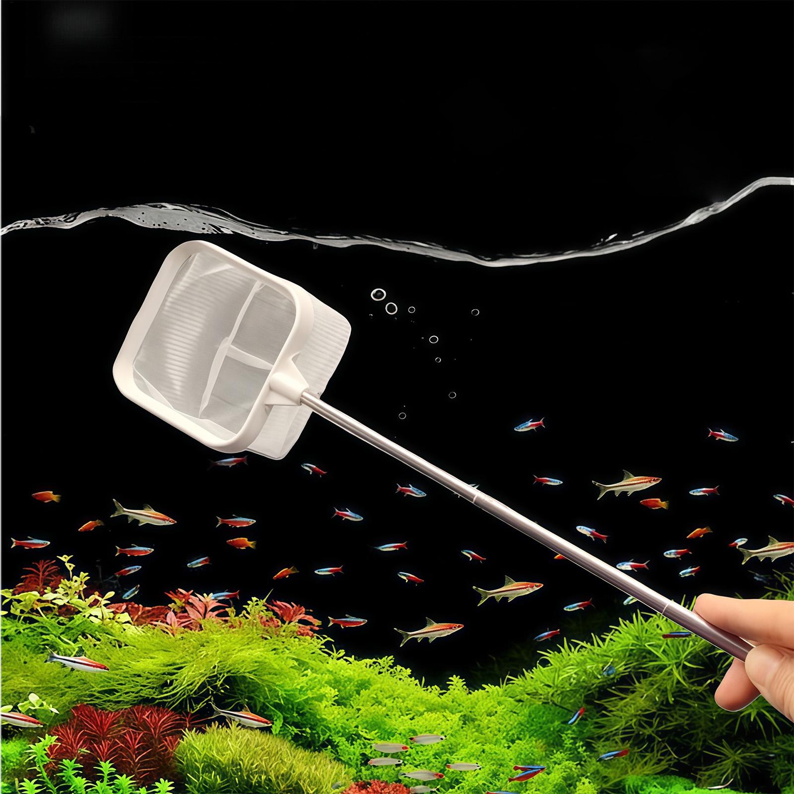 Alat Penyaring Ikan Akuarium J - Aquarium Plant Roots ulasan dan harga