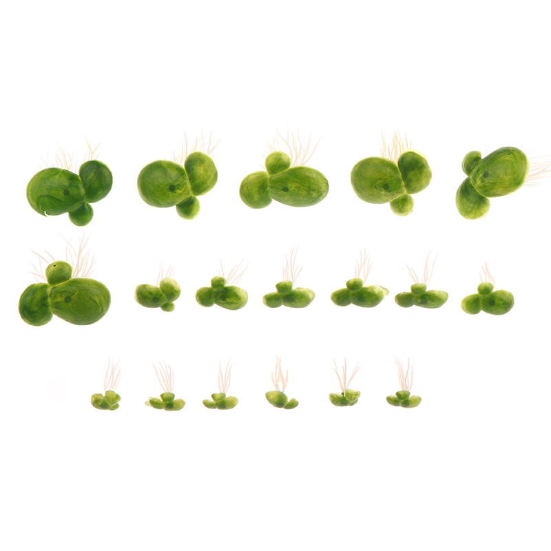 【F】18pcs/set Dekorasi Akuarium - Aquarium Plant Roots ulasan dan harga
