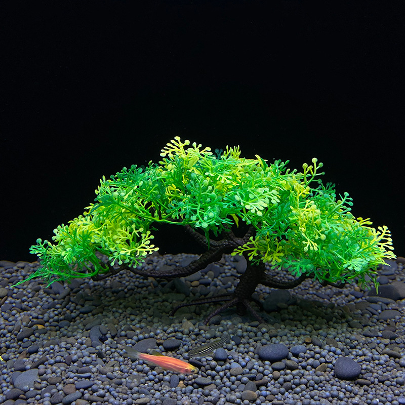 Pohon bonsai akuarium, tanaman - Planted Aquarium For Goldfish ulasan dan harga