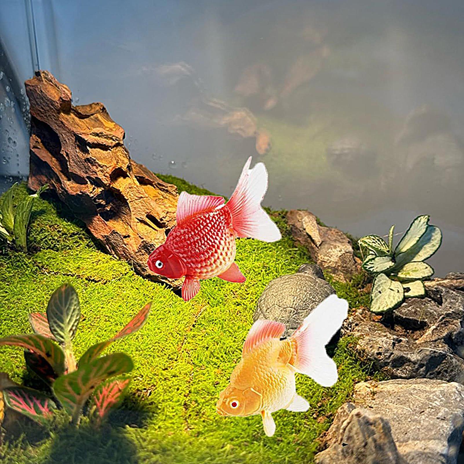 Ikan Mas Palsu 2 Buah/Set Ikan - Planted Aquarium For Goldfish ulasan dan harga
