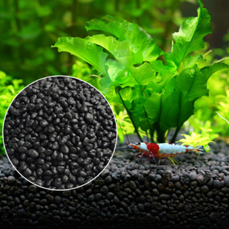 Bibit Tanaman Akuarium Tanah T - Aquarium Plant Fertilizer ulasan dan harga