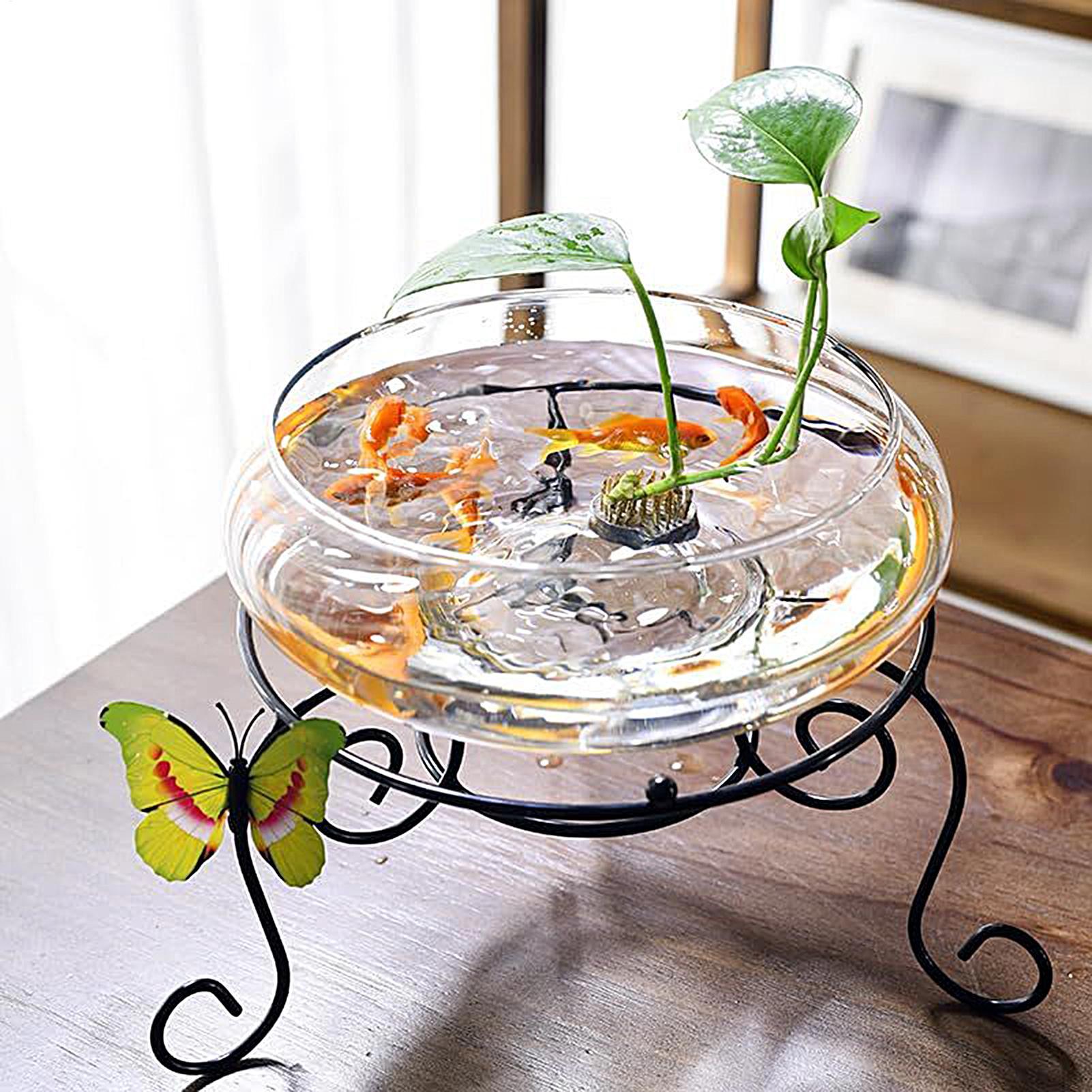 Mangkuk Kaca Ikan Pot Bunga Hi - Planted Aquarium For Goldfish ulasan dan harga