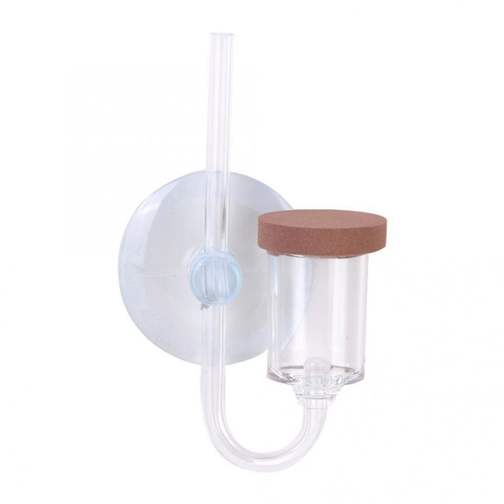 Akuarium Mini Akrilik Tanaman  - Aquarium Plant No Co2 ulasan dan harga