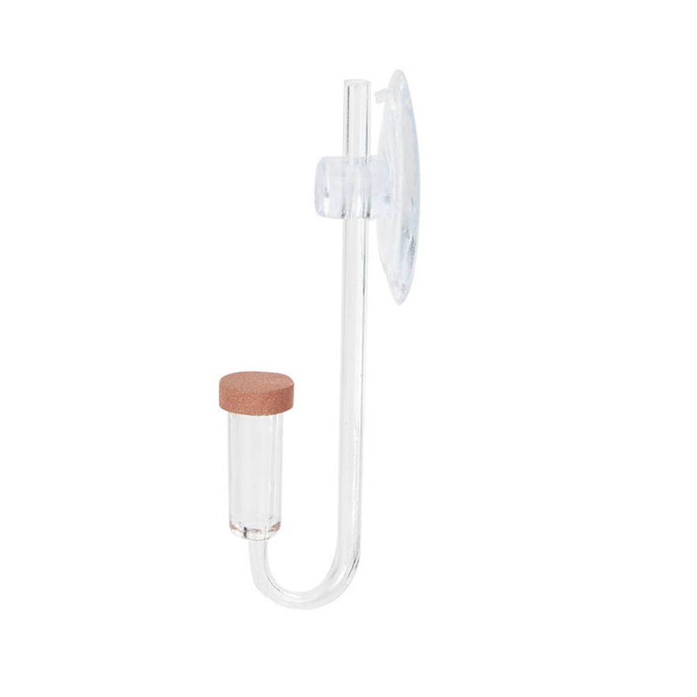 Akuarium Mini Akrilik Tanaman  - Aquarium Plant No Co2 ulasan dan harga