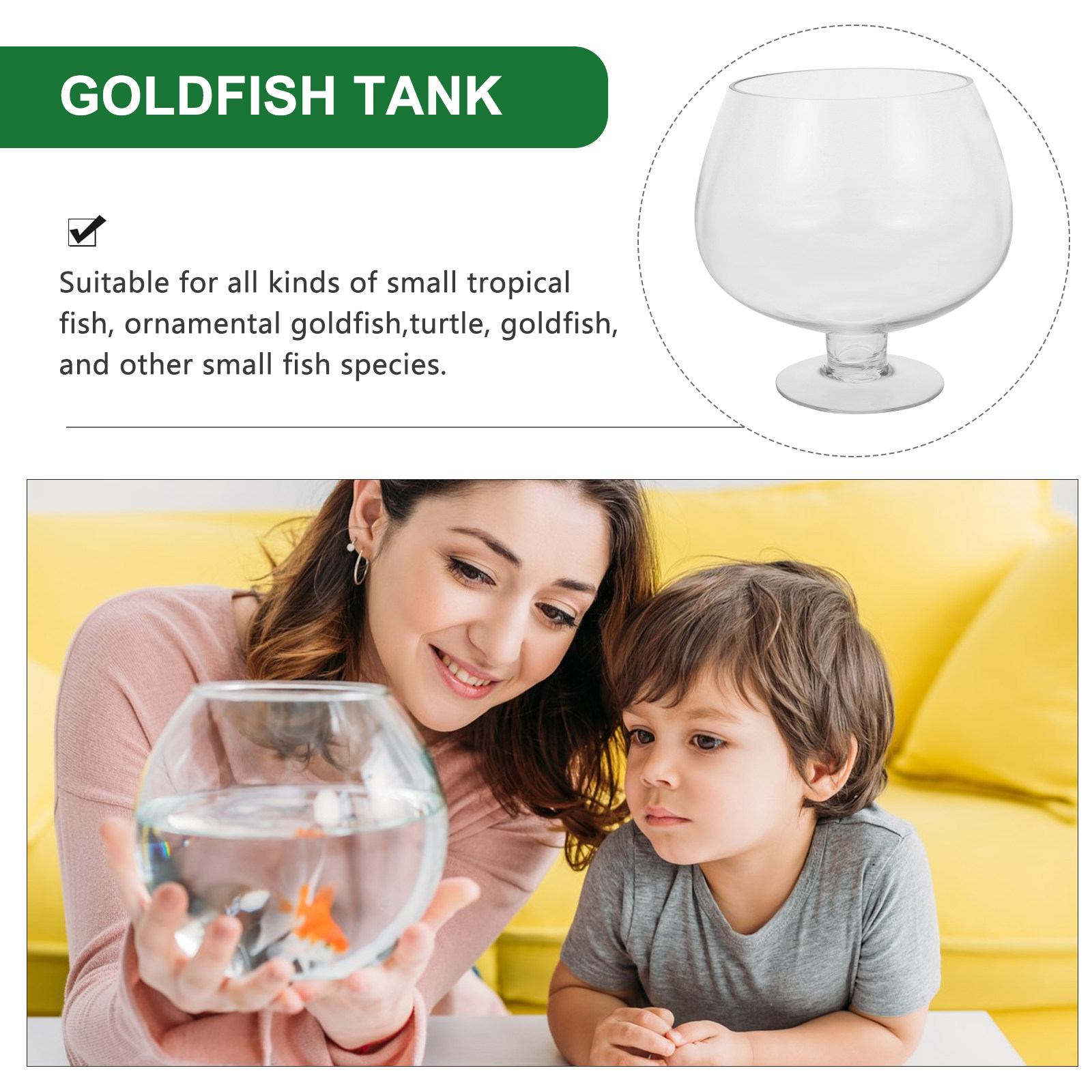 Akuarium Meja Transparan untuk - Planted Aquarium For Goldfish ulasan dan harga