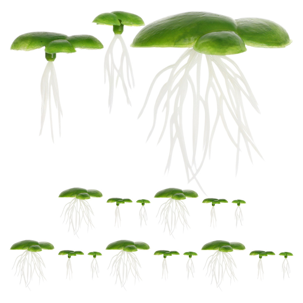 6 Paket Tanaman Duckweed Buata - Aquarium Plant Roots ulasan dan harga