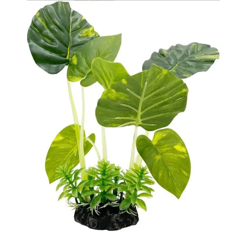 Rumput bawah air kecil akuariu - Aquarium Planted Background ulasan dan harga