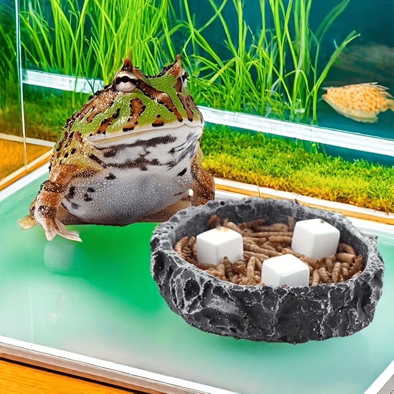 6 Pcs Blok Kalsium Mineral unt - Aquarium Plant Roots ulasan dan harga